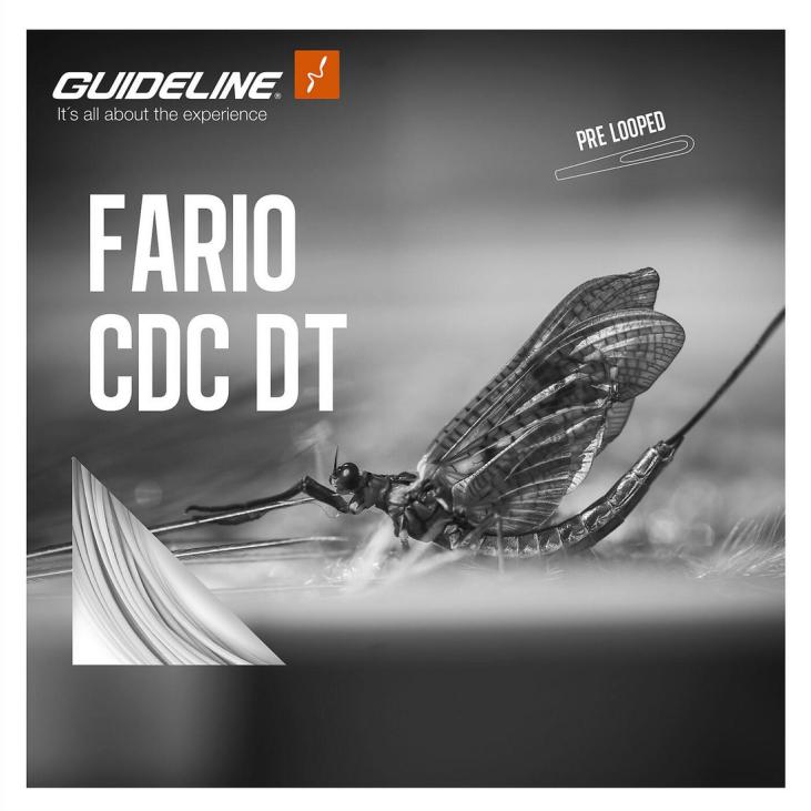FARIO CDC DT FLY LINE