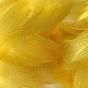 FLANC DE CANARD MALLARD Feathers Colors : 
