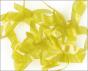 CZECH NYMPH BACK Materials Colors : Golden Olive