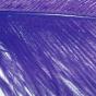 HERL D'AUTRUCHE Materials Colors : Purple