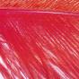 HERL D'AUTRUCHE Materials Colors : Red