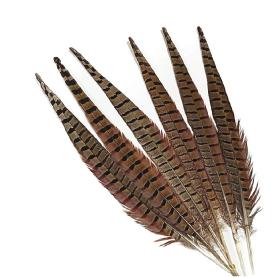 Bijoux Artisanat fly tying 100 Cock Pheasant flanc plumes de 2" à 5" 