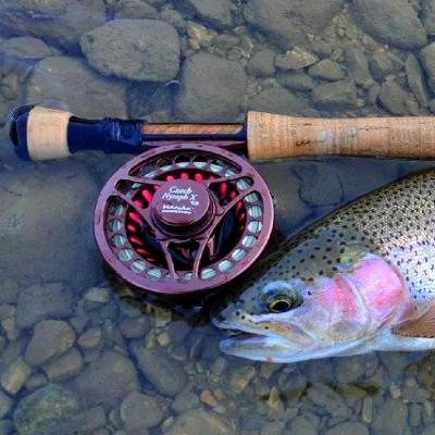 Fly Rods & Reels