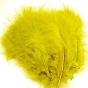 MARABOU SELECT Couleurs FLY-TYING : Jaune Olive