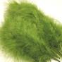 MARABOU SELECT Couleurs FLY-TYING : Vert Olive